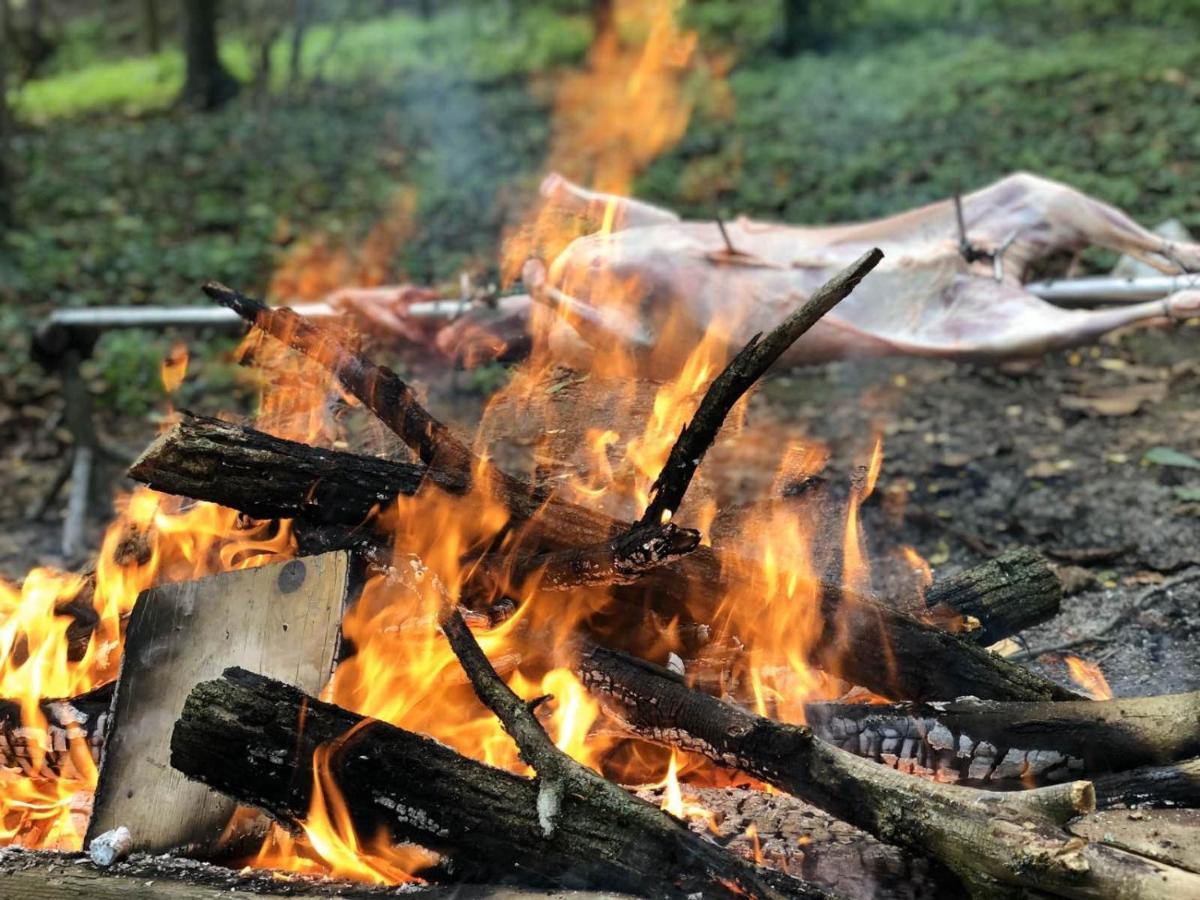 Baranja Black Hill'S Gajic Eksteriør bilde