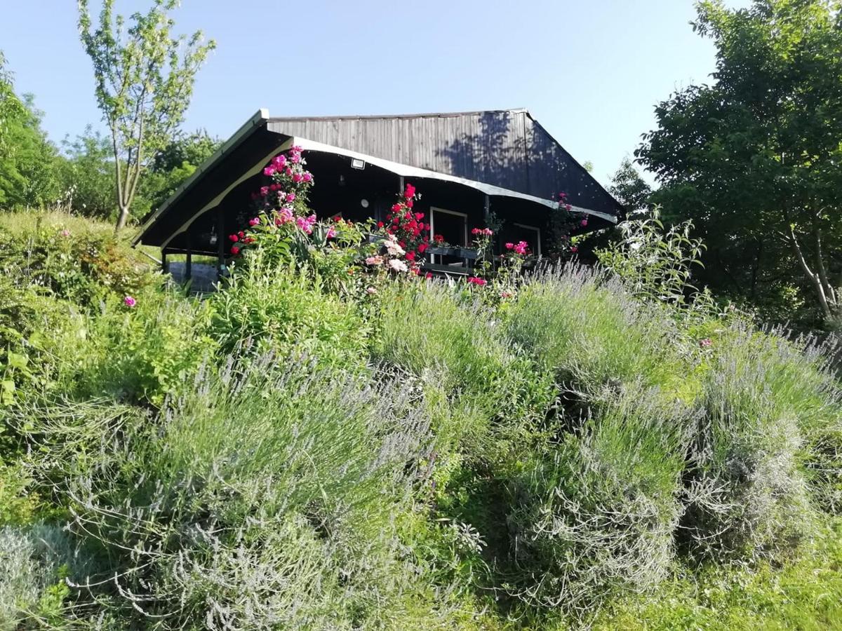 Baranja Black Hill'S Gajic Eksteriør bilde