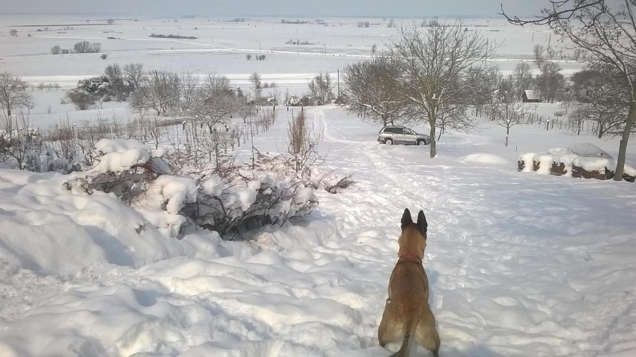 Baranja Black Hill'S Gajic Eksteriør bilde