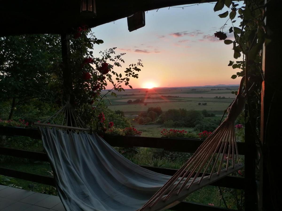 Baranja Black Hill'S Gajic Eksteriør bilde