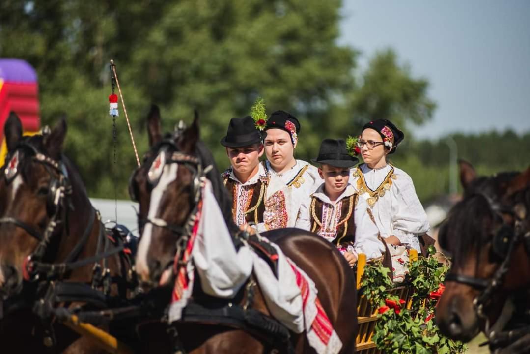 Baranja Black Hill'S Gajic Eksteriør bilde