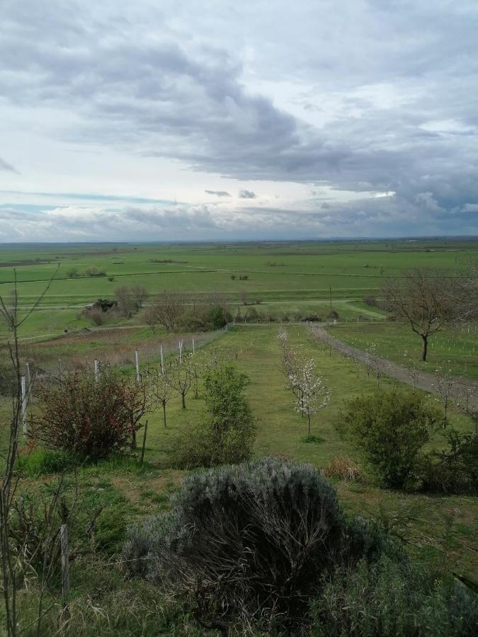Baranja Black Hill'S Gajic Eksteriør bilde